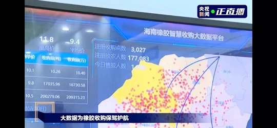 2024澳门开门奖结果