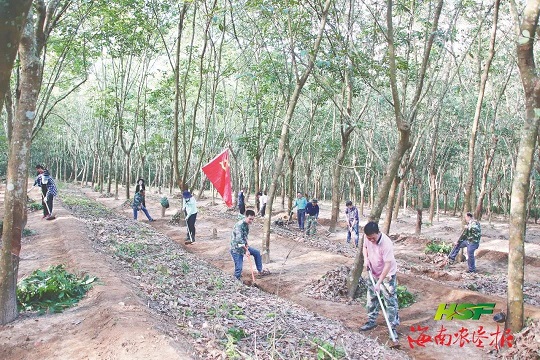 2024澳门开门奖结果